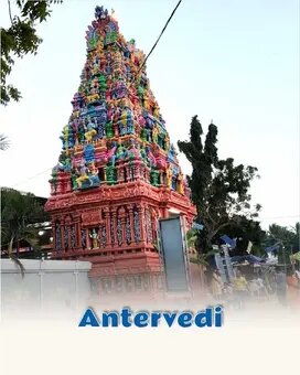 Antervedi