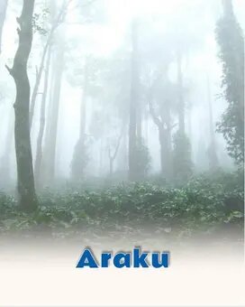 Araku