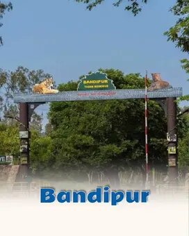 Bandipur