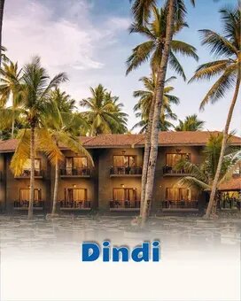 Dindi