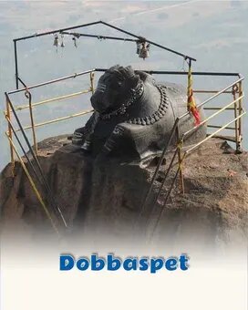 Dobbaspet