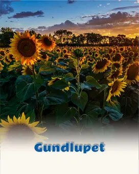 Gundlupet