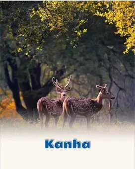 Kanha