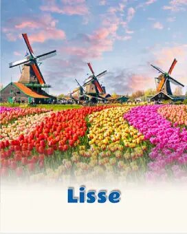 Lisse