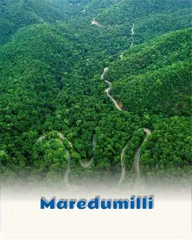 Maredumilli