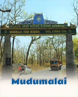 Mudumalai
