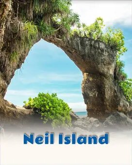 Neil Island