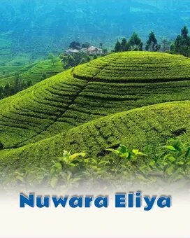 Nuwara Eliya