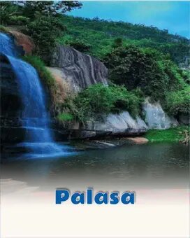 Palasa