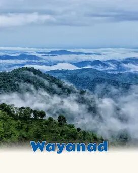 Wayanad