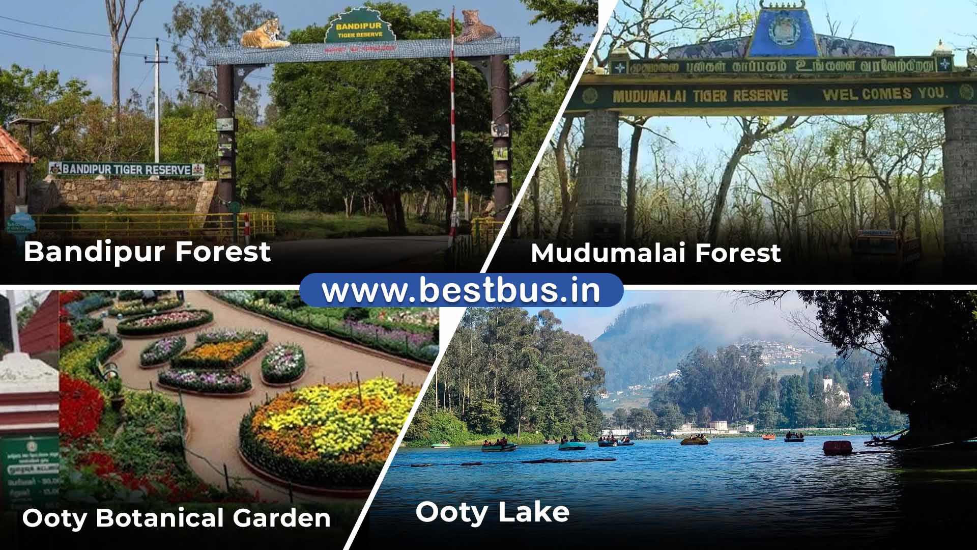 1 Night 2 Days Mysore To Ooty Doddabetta Tour Package 01
