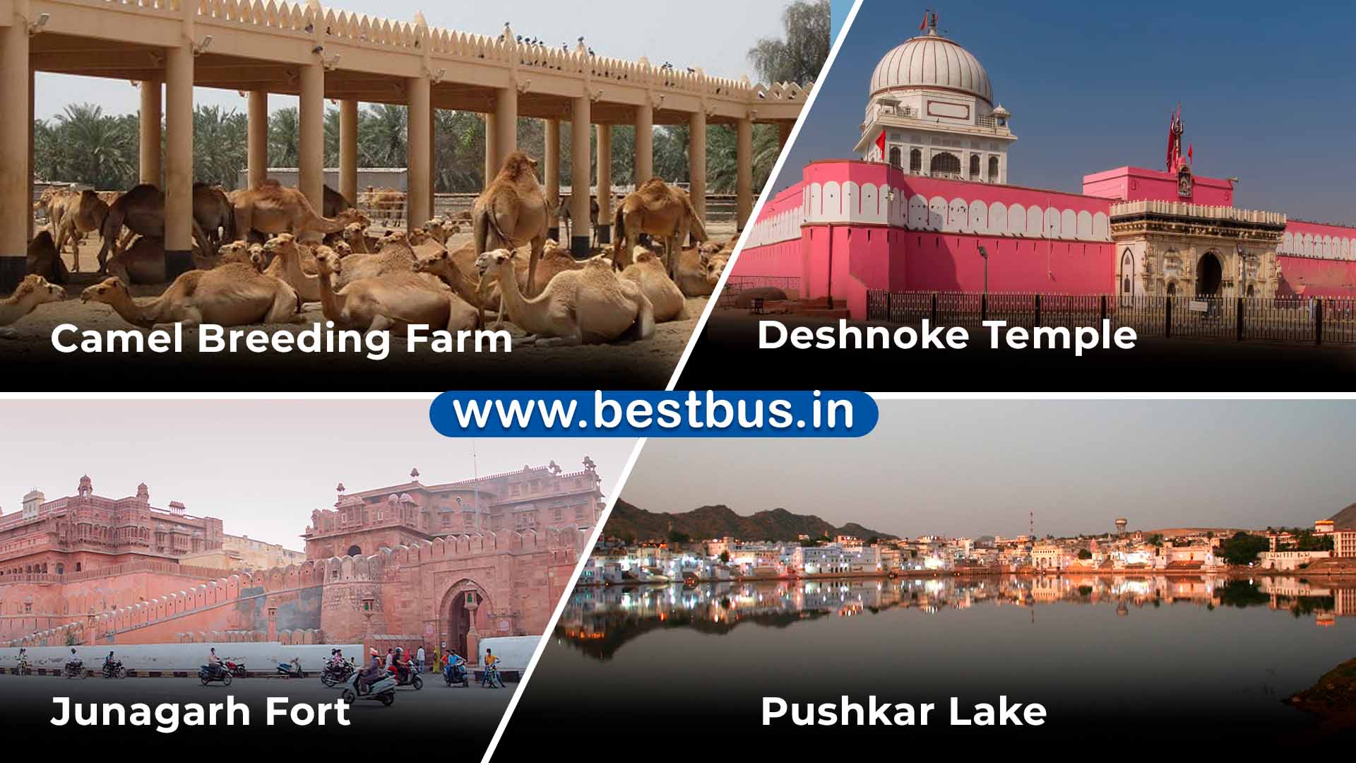 10 Nights-11 Days Jaipur-bikaner-jaisalmer-jodhpur-mount Abu-udaipur-pushkar Tour Package From Jaipur