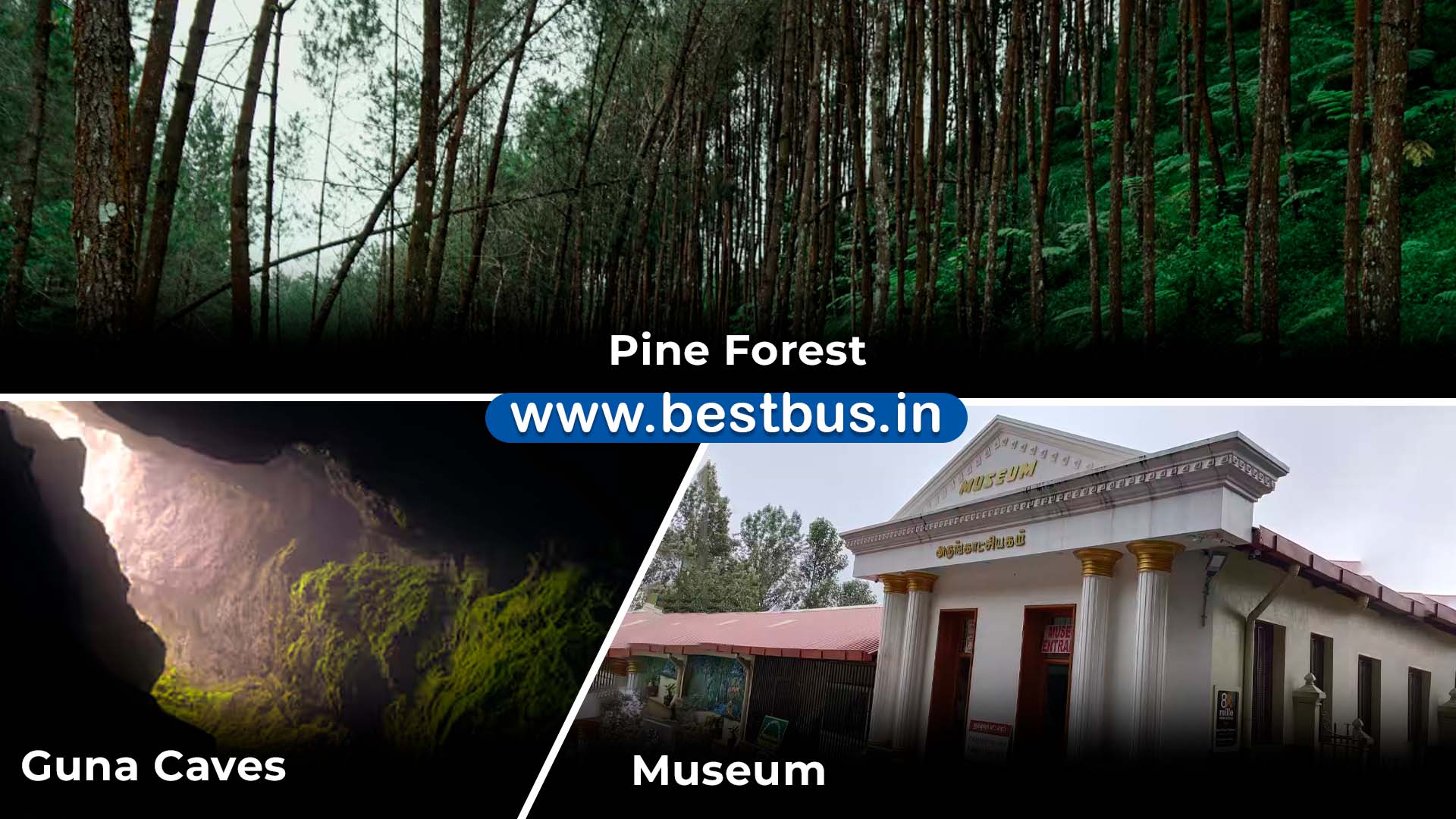 2 Nights-3 Days Kodaikanal Holiday Package From Ernakulam By Train