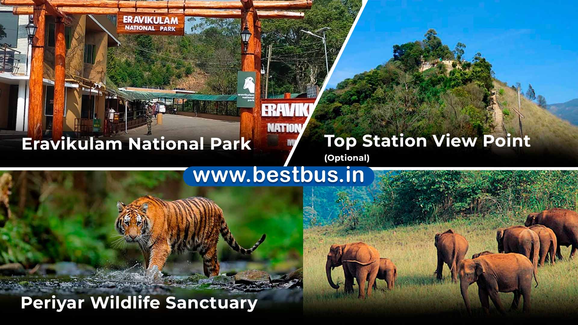 5 Nights-6 Days Bangalore To Munnar-thekkady Tour Package By Train