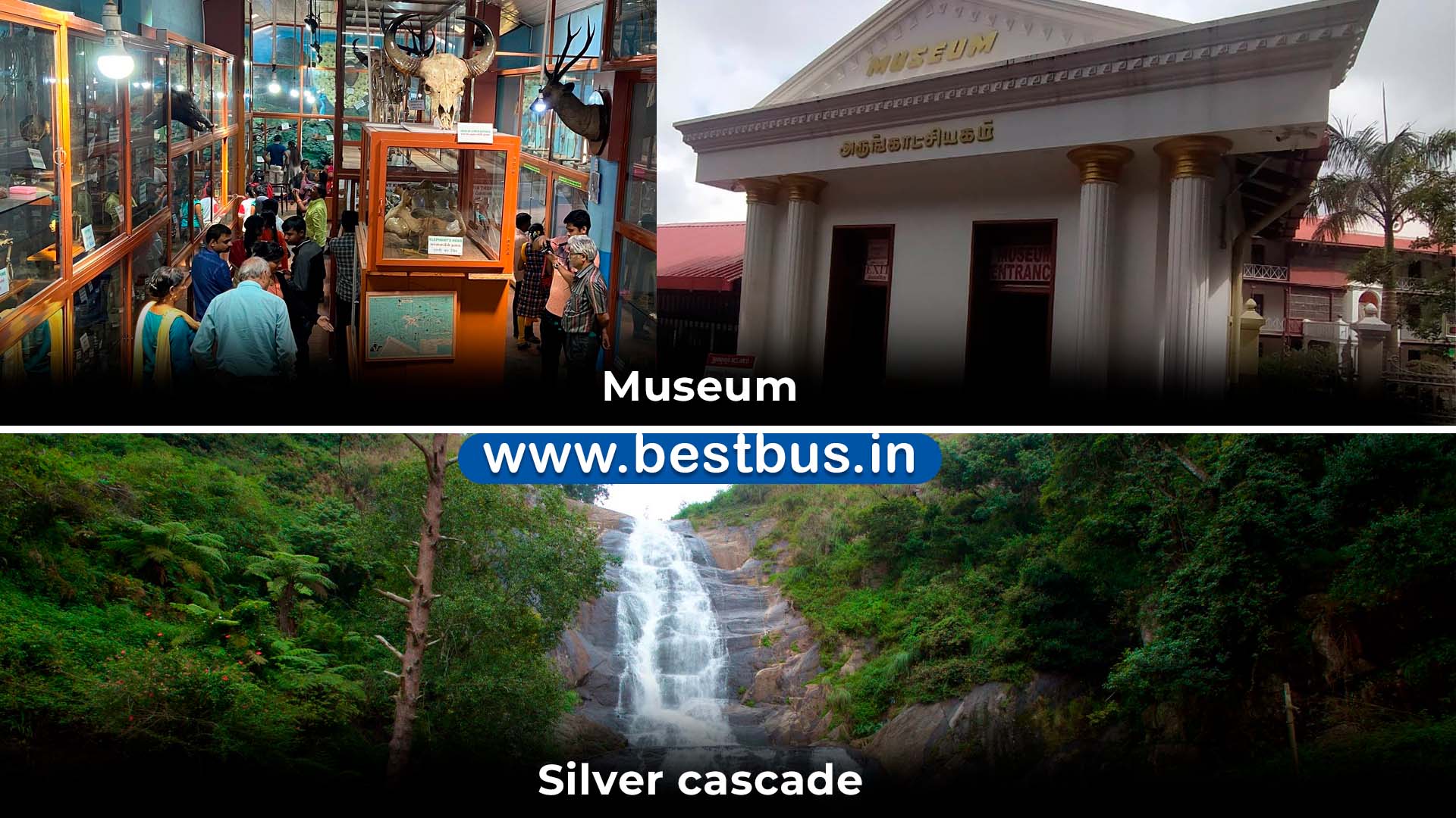 5 Nights-6 Days Chennai To Kodaikanal-thekkady Tour Package By Train