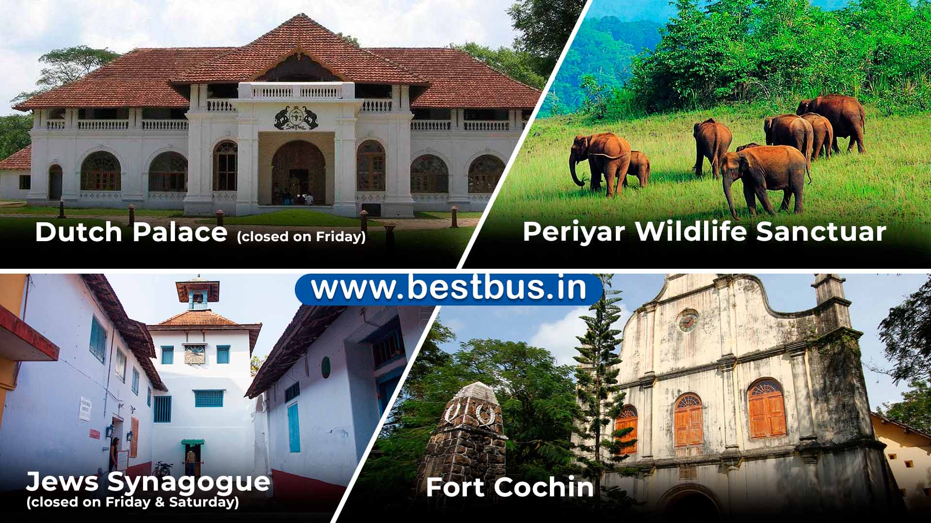 5 Nights-6 Days Cochin-munnar-thekkady-kumarakom-alleppey Tour Package From Kochi/ernakulam