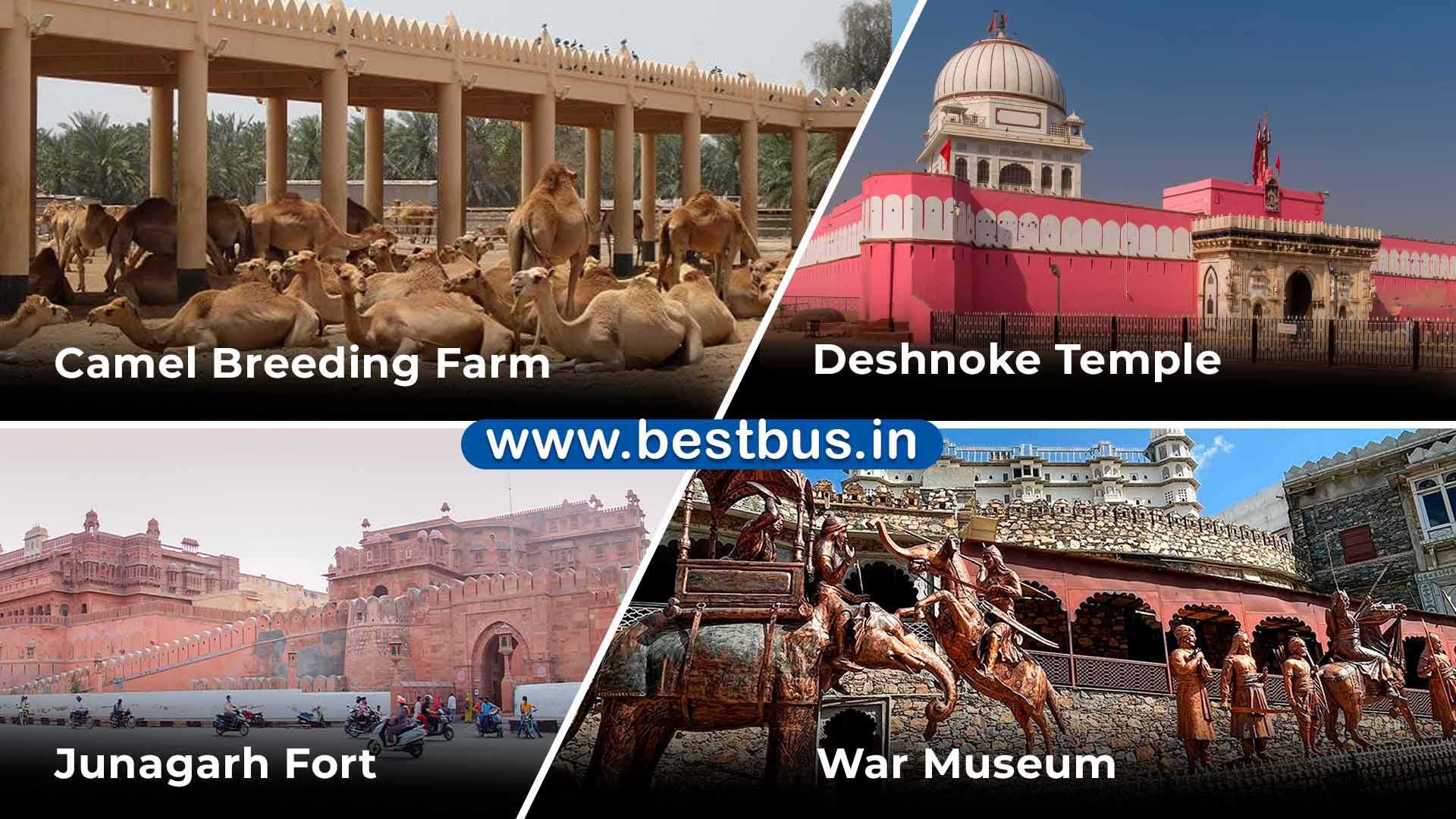 5 Nights-6 Days Jaipur-jodhpur-jaisalmer-bikaner Tour Package From Jaipur