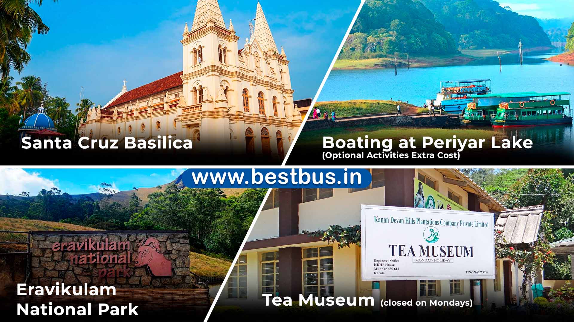 6 Nights-7 Days Cochin-munnar-thekkady-alleppey-trivandrum-kovalam Package From Kochi/ernakulam