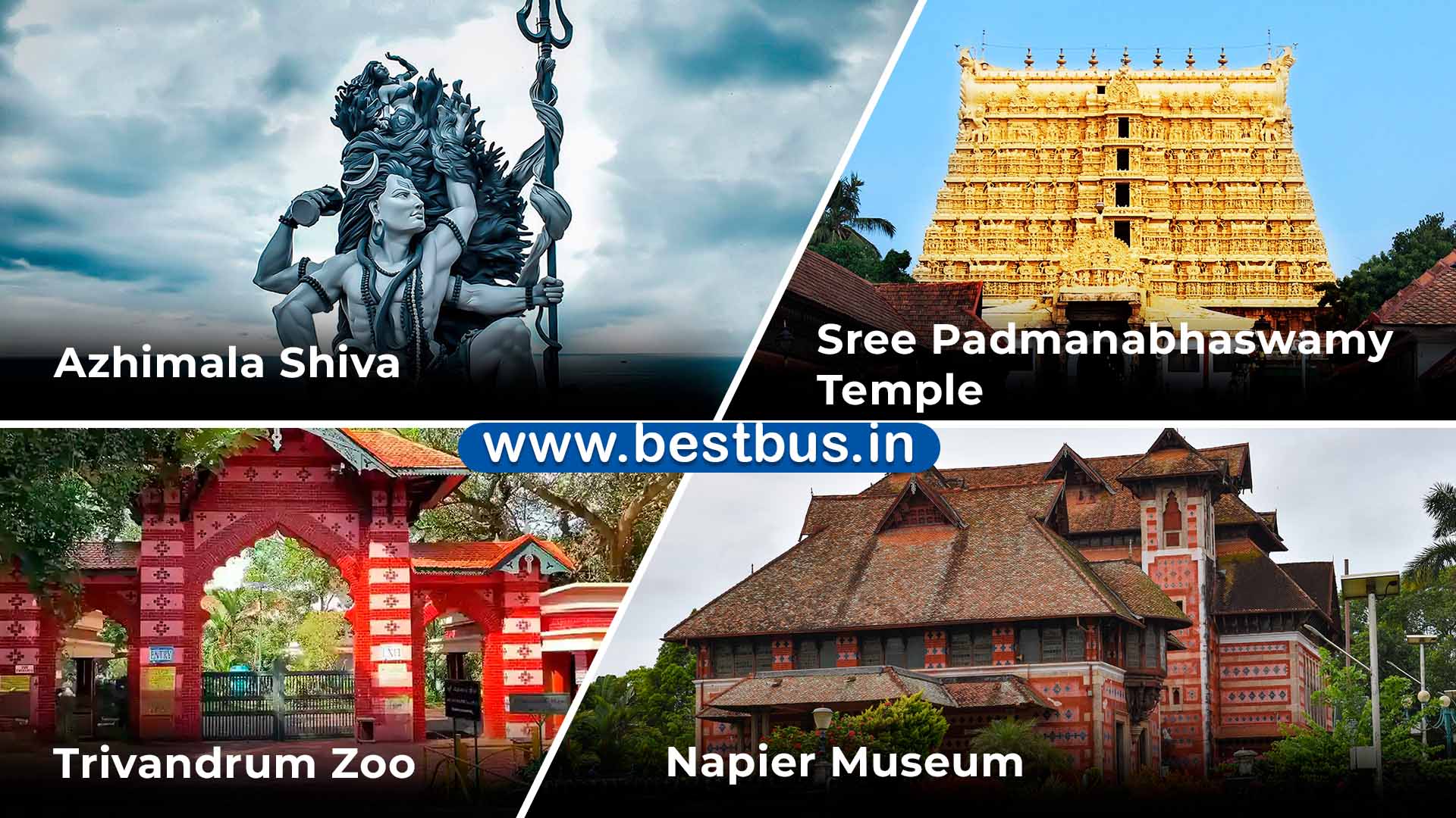 6 Nights-7 Days Cochin-munnar-thekkady-alleppey-trivandrum-kovalam Package From Kochi/ernakulam