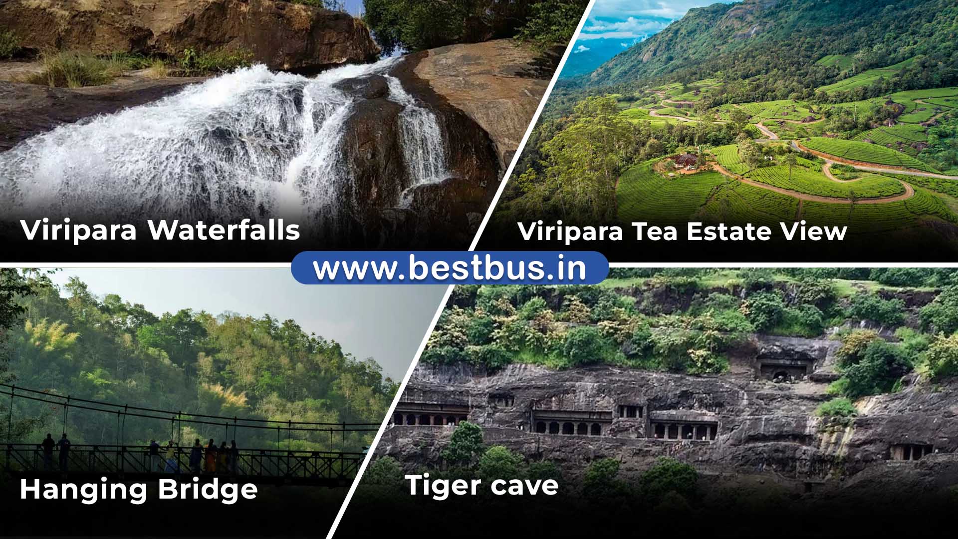 Anakulam Wild Elephant Village Tour 01