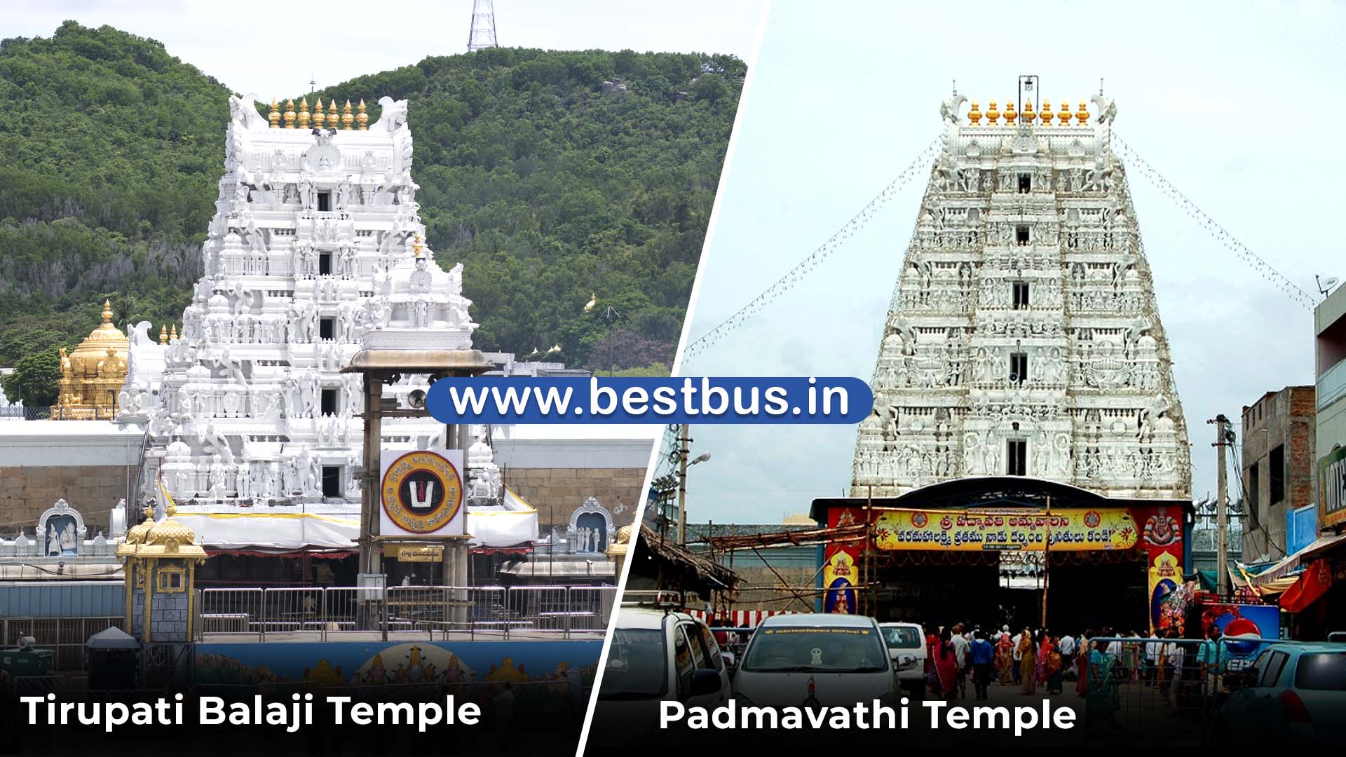 Tirupati Free Darshan Package From Mysore