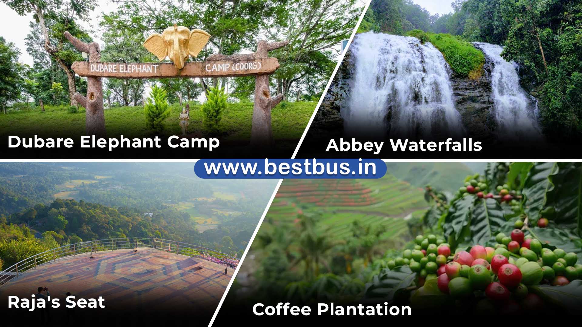 Bangalore To Coorg Kushalnagar Madikeri Mandalpatti 3 Nights 4 Days Tour Packagevisit place 2