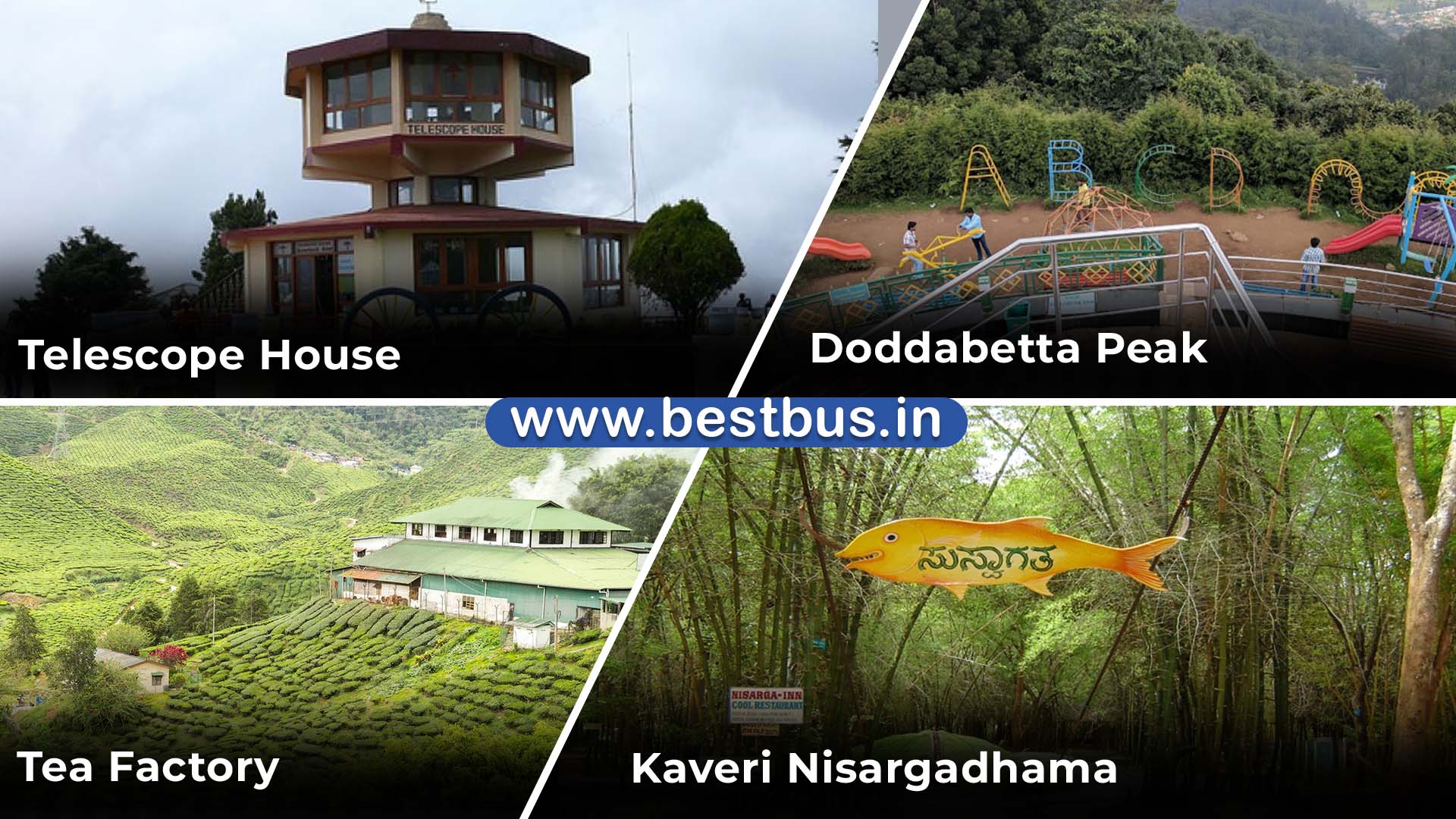 Bangalore To Coorg Kushalnagar Madikeri Ooty Coonoor Filmy Chakkar 6 Nights 7 Days Tour Package 06