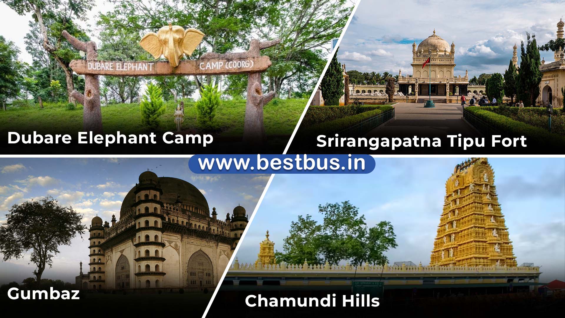 Bangalore to Coorg-Madikeri-Ooty-Coonoor 4 Nights-5 Days Tour Package 02