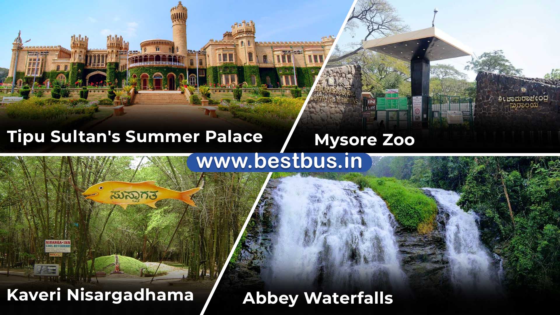 Bangalore to Coorg-Madikeri-Ooty-Coonoor 4 Nights-5 Days Tour Package 03