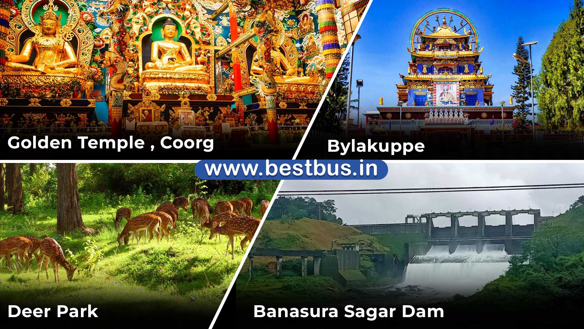 Bangalore to Coorg-Madikeri-Ooty-Coonoor 4 Nights-5 Days Tour Package 05