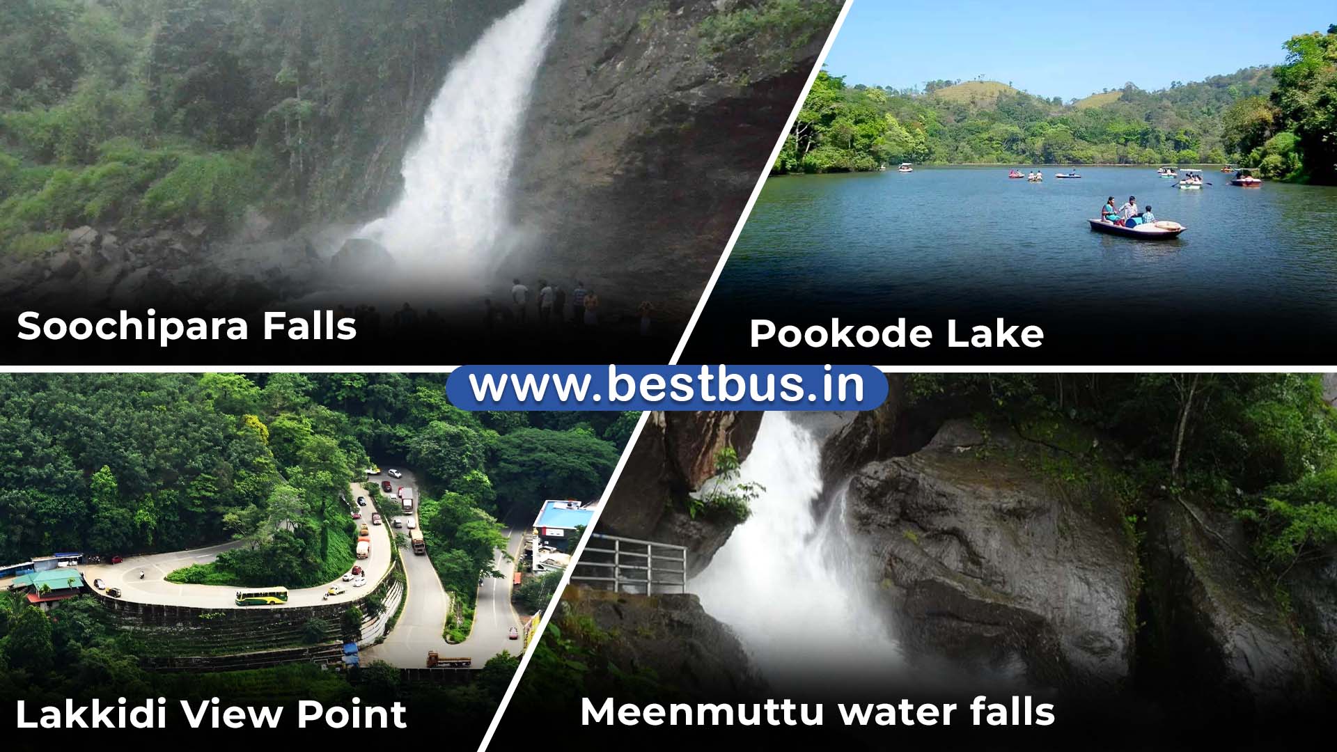 Bangalore to Coorg-Madikeri-Ooty-Coonoor 4 Nights-5 Days Tour Package 06
