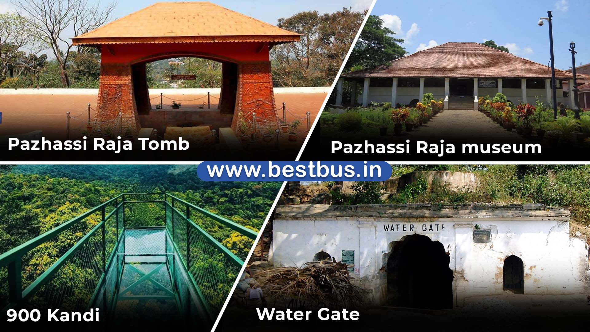 Bangalore to Coorg-Madikeri-Ooty-Coonoor 4 Nights-5 Days Tour Package 07