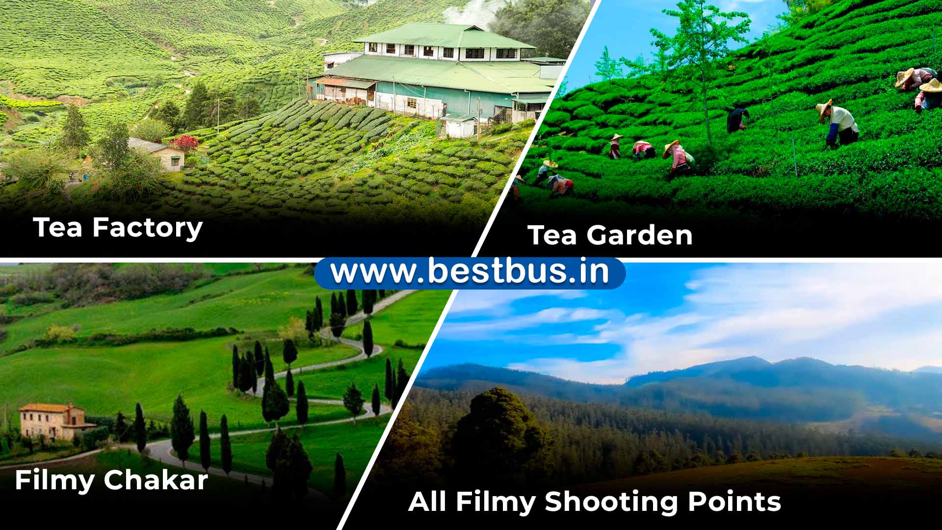 Bangalore to Coorg-Madikeri-Ooty-Coonoor 4 Nights-5 Days Tour Package by Car