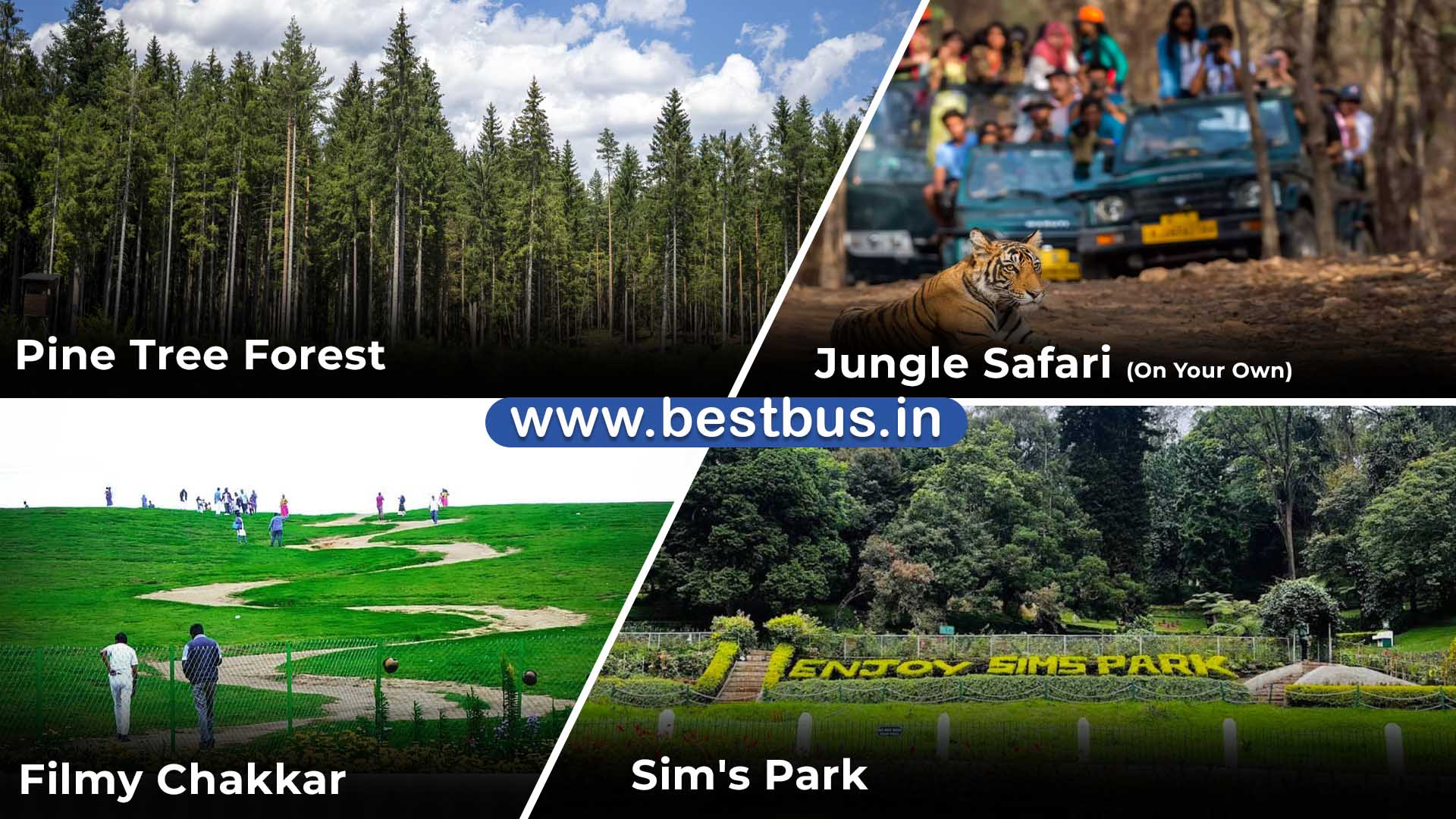 Bangalore To Coorg Madikeri Wayanad Ooty Coonoor Mysore visit place 4