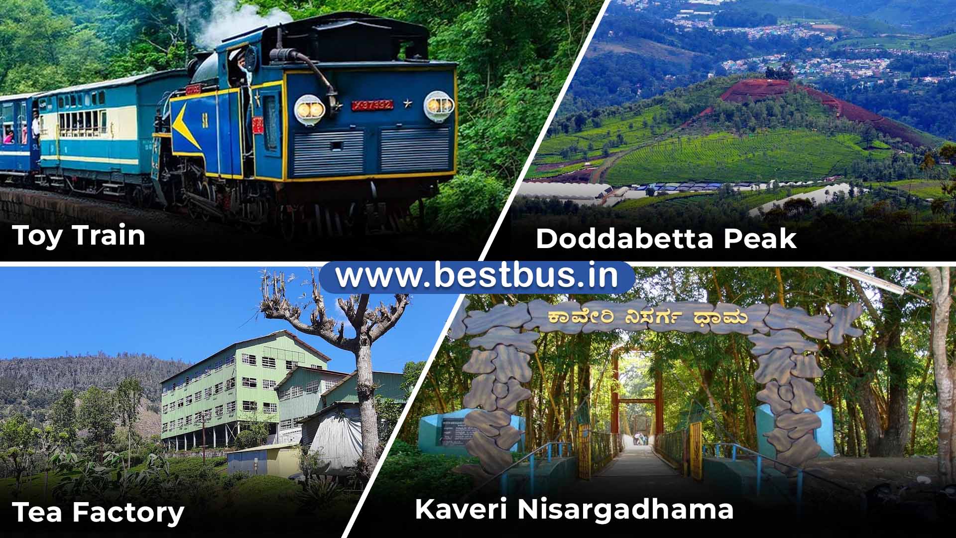Bangalore To Coorg Madikeri Wayanad Ooty Coonoor Mysore visit place 7