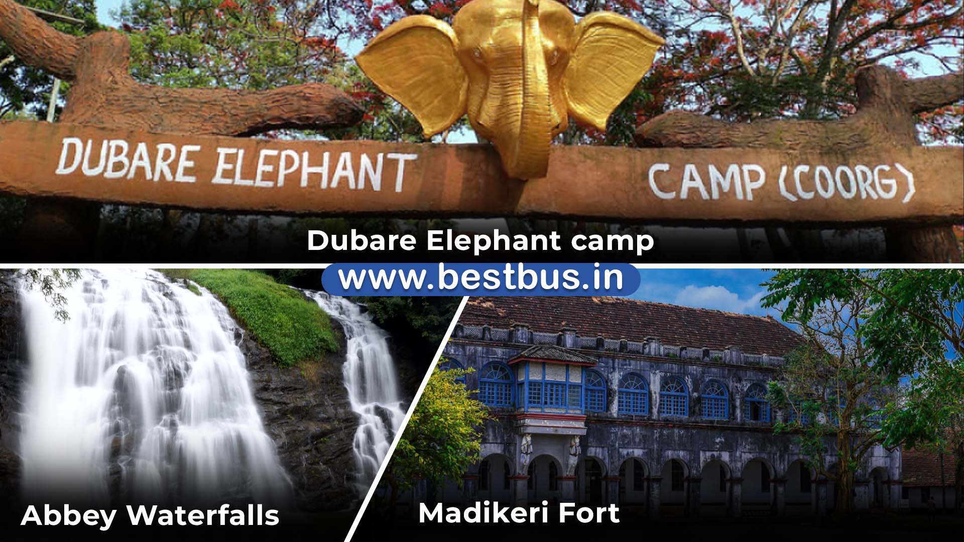 Bangalore To Coorg Madikeri Wayanad Ooty Coonoor Mysore visit place 9