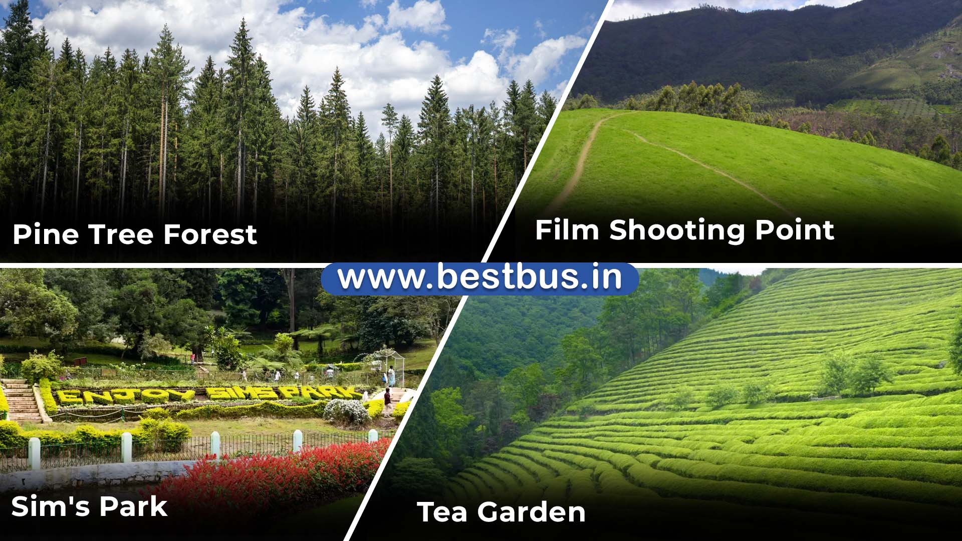 Bangalore To Coorg Ooty Coonoor Filmy Chakkar 3 Nights 4 Days Tour Package 03