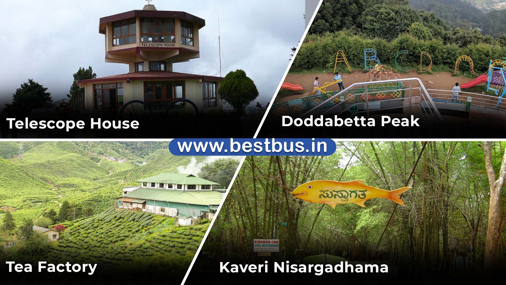 Bangalore To Coorg Ooty Coonoor Filmy Chakkar 3 Nights 4 Days Tour Package 05