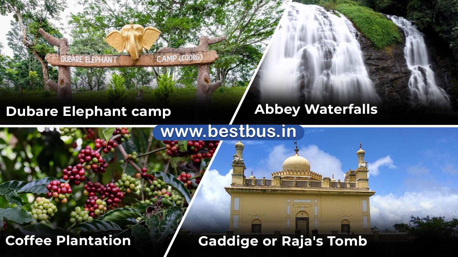 Bangalore To Coorg Ooty Coonoor Filmy Chakkar 3 Nights 4 Days Tour Package 06