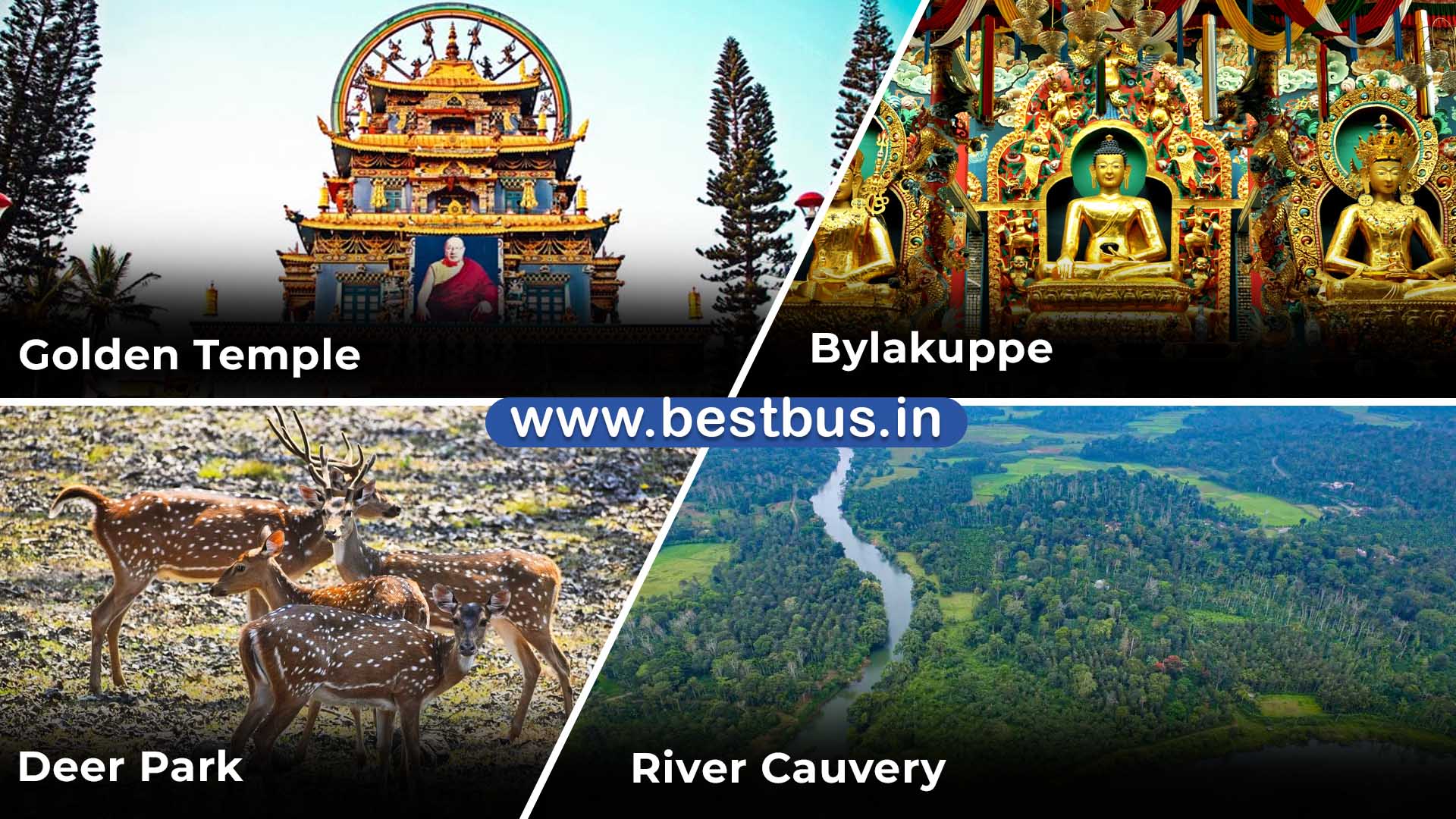 Bangalore To Coorg Ooty Coonoor Filmy Chakkar 3 Nights 4 Days Tour Package 07