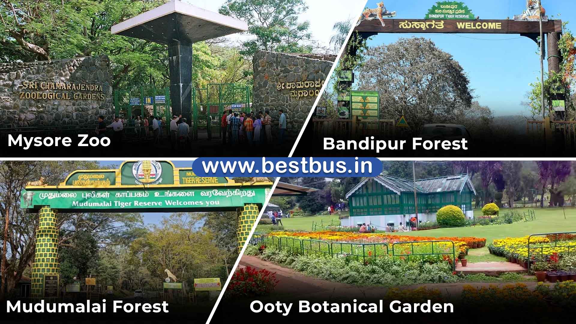 Bangalore To Mysore (2 Days) Ooty Coonoor Filmy Chakkar - 4 Nights-5 Days Tour Package visit place 4