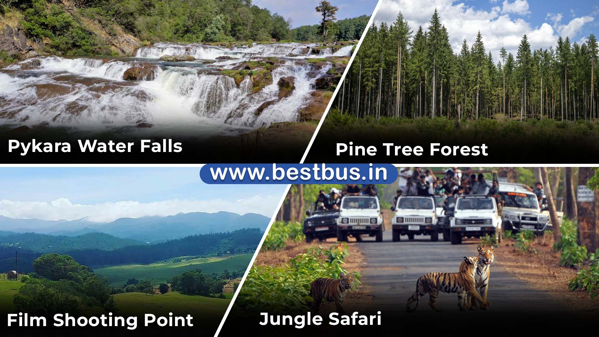 Bangalore To Mysore (2 Days) Ooty Coonoor Filmy Chakkar - 4 Nights-5 Days Tour Package visit place 6