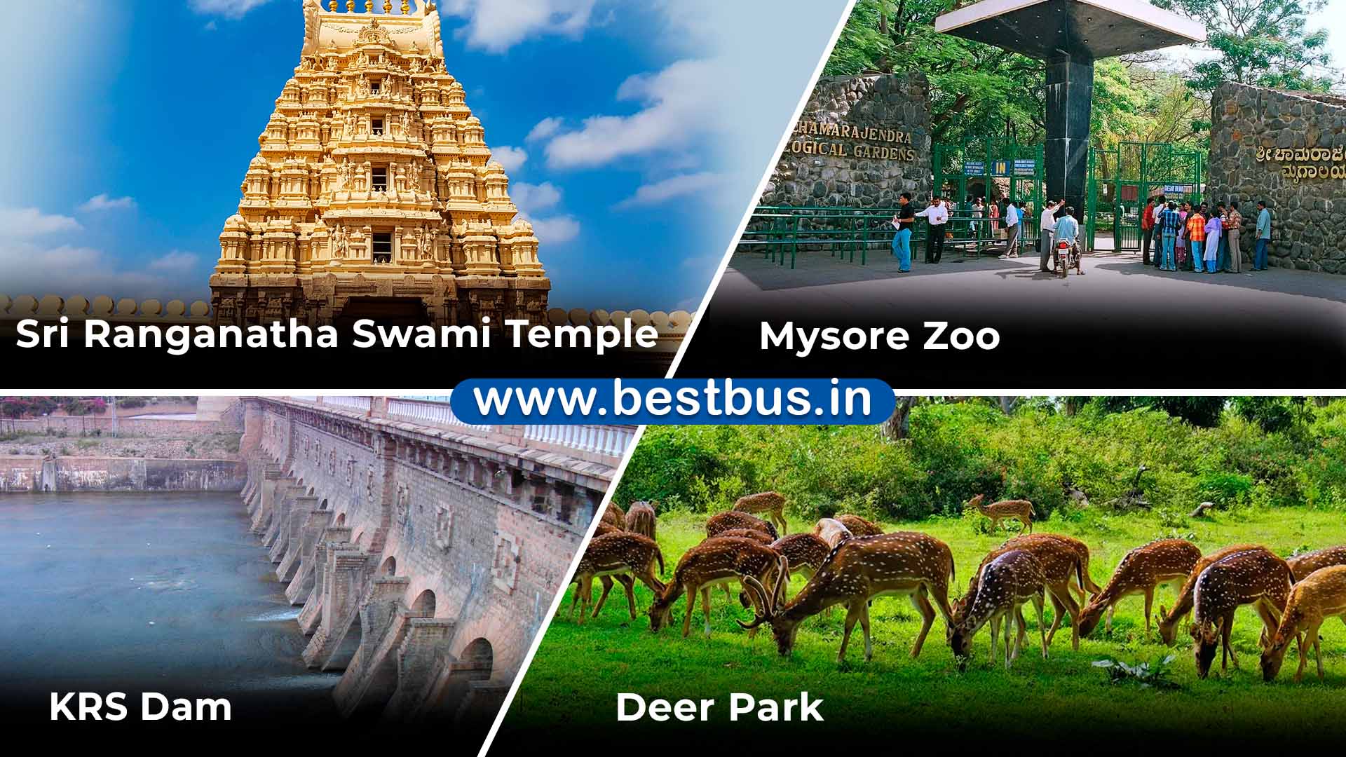 Bangalore to Mysore-Coorg 1 Night-2 Days Tour Package by Car