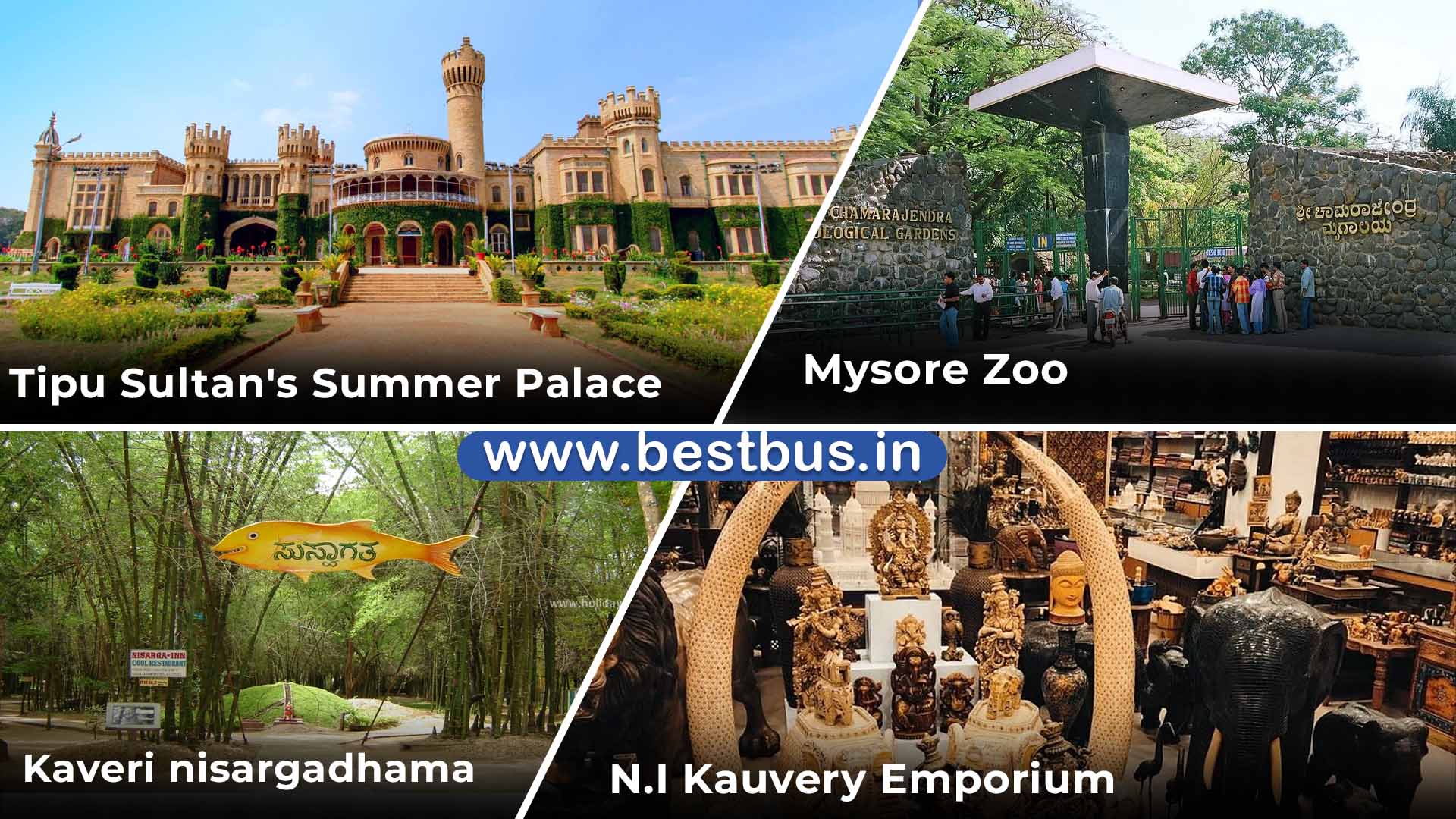 Bangalore To Mysore Coorg Madikeri Abbey Falls Mandalpatti 4