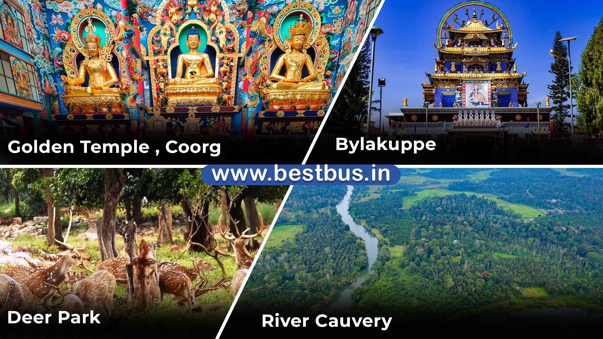 Bangalore To Mysore Coorg Madikeri Abbey Falls Mandalpatti 7