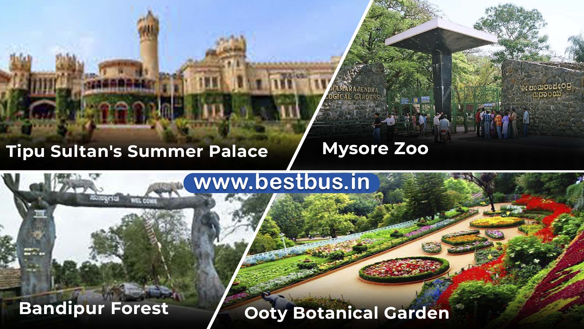 Bangalore To Mysore Coorg Madikeri Bandipur Ooty Coonoor Drop At Coimbatore - 6 Nights-7 Days Tour Package 03
