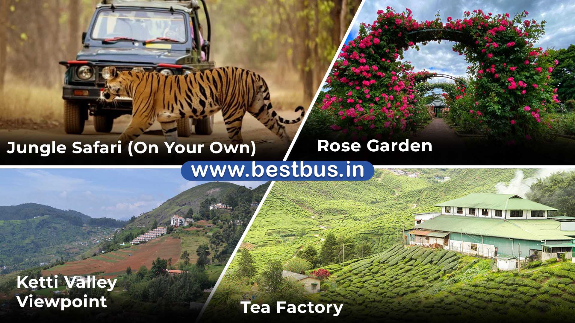 Bangalore To Mysore Coorg Madikeri Bandipur Ooty Coonoor Drop At Coimbatore - 6 Nights-7 Days Tour Package 07