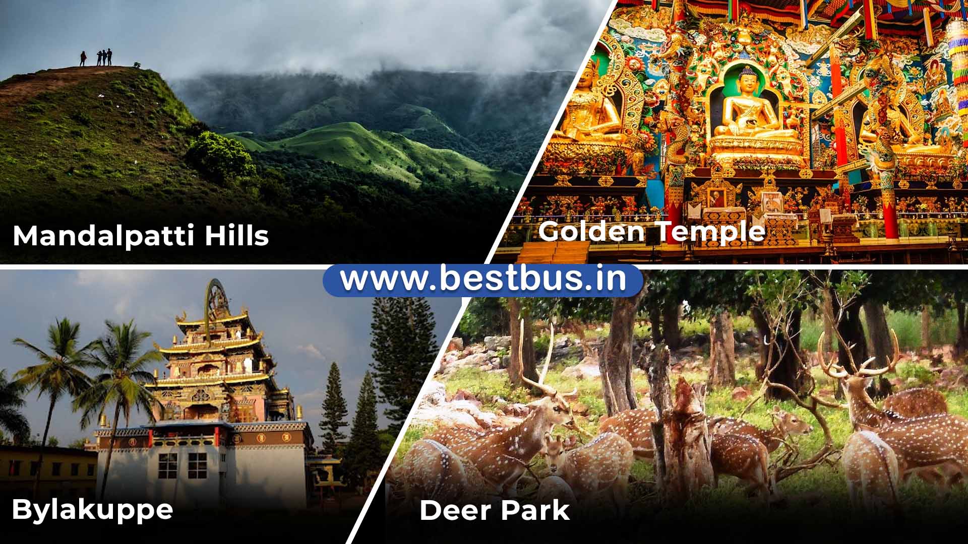 Bangalore To Mysore Coorg Madikeri Bandipur Ooty Coonoor Drop At Coimbatore - 6 Nights-7 Days Tour Package 10