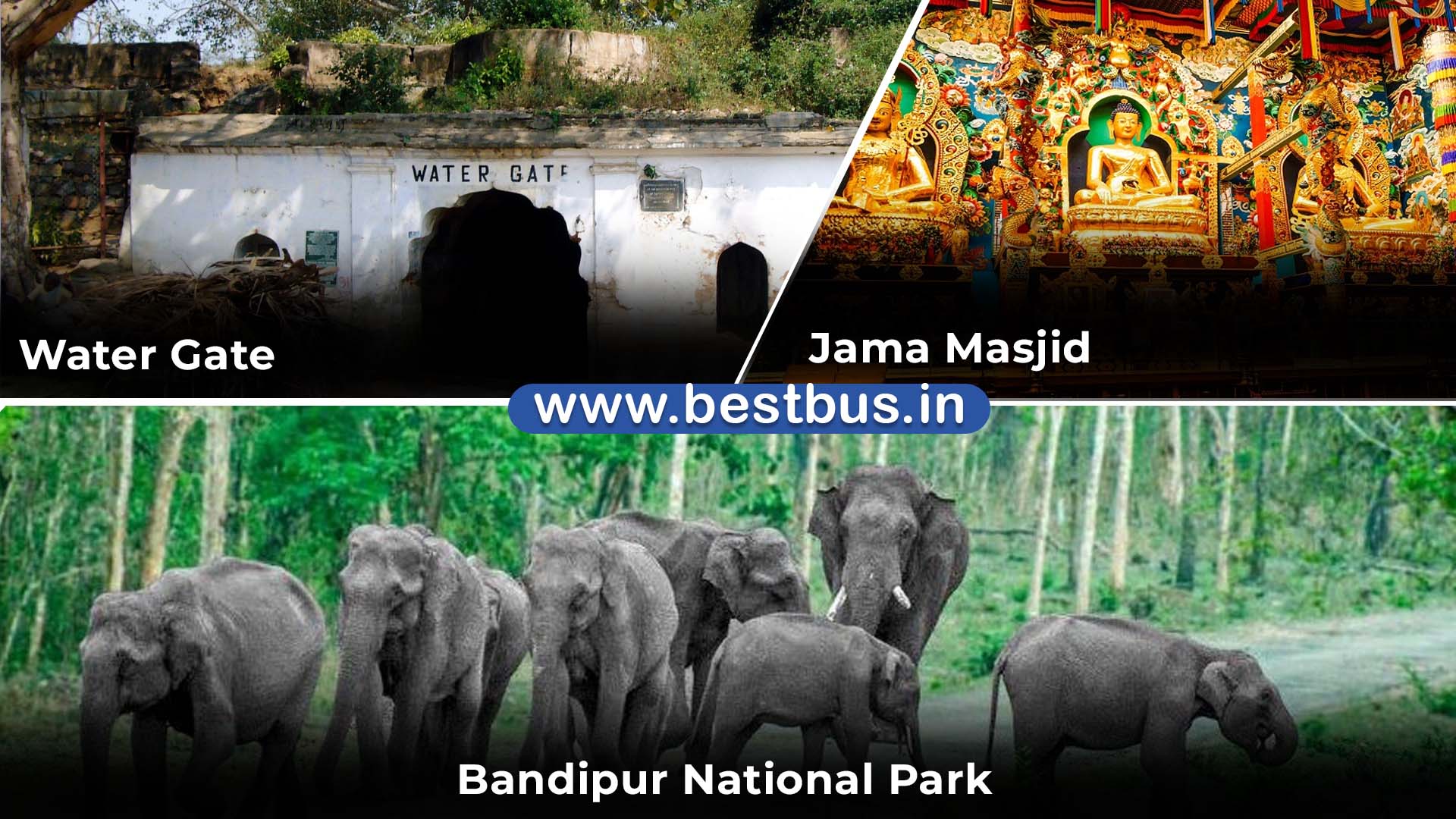 Bangalore To Mysore Coorg Madikeri Bandipur Ooty Coonoor Drop At Coimbatore - 6 Nights-7 Days Tour Package 11