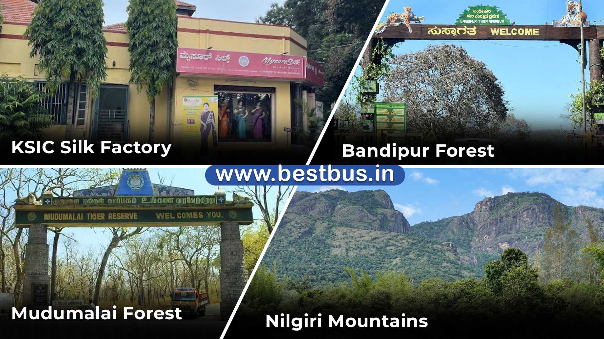 Bangalore To Mysore Ooty Coonoor Coorg Madikeri Abbey Falls VISIT PLACE 03